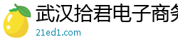 武汉拾君电子商务有限公司