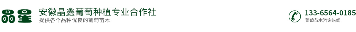 安徽晶鑫葡萄网