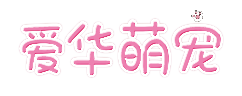 爱华萌宠