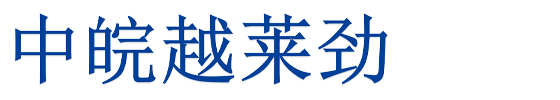 安徽越来劲新材料有限公司