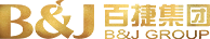 武汉百捷集团有限公司
