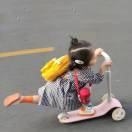 公文格式模板及范文资料库