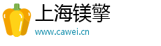 上海镁擎电子商务有限公司