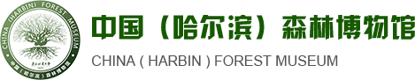 中国（哈尔滨）森林博物馆