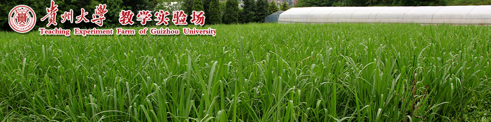 教学实验场