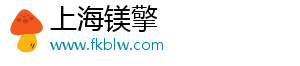 上海镁擎电子商务有限公司