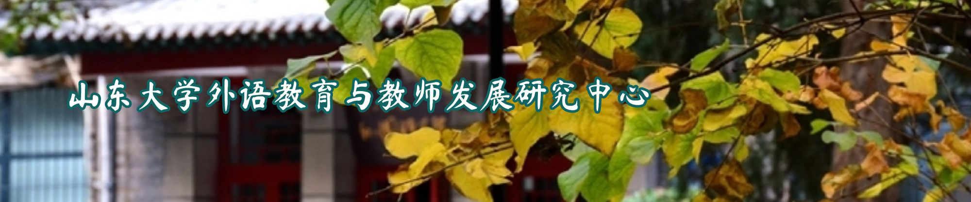 山东大学外语教育与教师发展研究中心