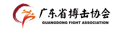 广东省搏击协会官网