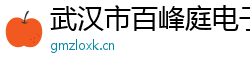 武汉市百峰庭电子商务有限公司