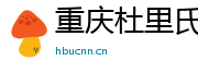 重庆杜里氏科技有限公司
