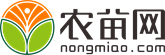 红掌的养殖方法和注意事项