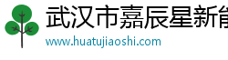 武汉市嘉辰星新能源科技有限公司