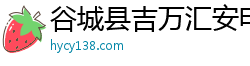 谷城县吉万汇安电子商务有限公司