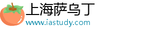 上海萨乌丁电子科技有限公司
