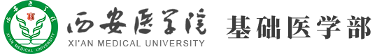 基础医学部