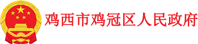 鸡冠区人民政府