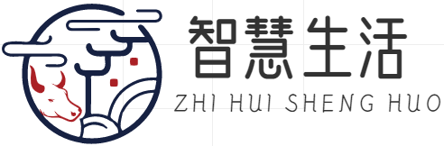 智慧生活