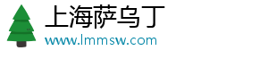 上海萨乌丁电子科技有限公司