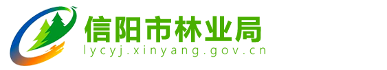 首页