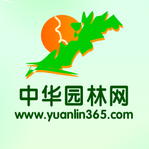 365园林网