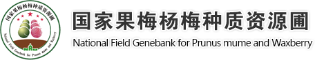 欢迎国家果梅杨梅种质资源圃