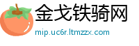 金戈铁骑网