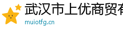 武汉市上优商贸有限公司