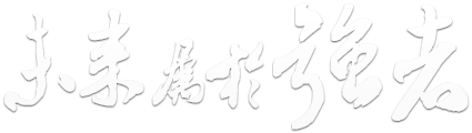 南阳理工学院协同办公系统