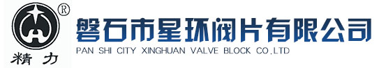 磐石市星环阀片有限公司