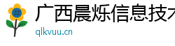 广西晨烁信息技术有限公司