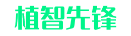成都植智先锋品牌策划设计网站