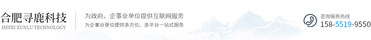 网站建设开发