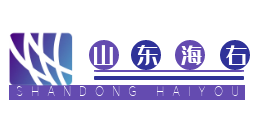 山东海右信息科技有限公司