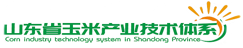 山东省玉米产业技术体系