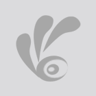 邯郸监控安装,邯郸光纤熔接,邯郸光缆抢修,邯郸网络布线,邯郸监控网络