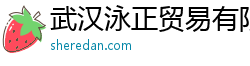武汉泳正贸易有限公司