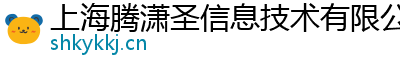 上海腾潇圣信息技术有限公司