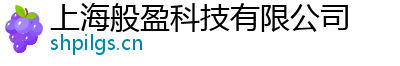 上海般盈科技有限公司