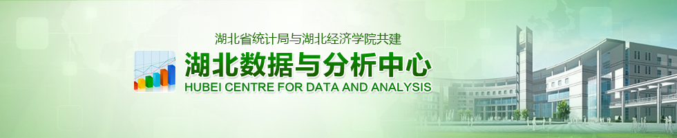 湖北数据与分析中心