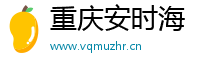 重庆安时海电子商务有限公司
