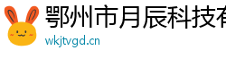 鄂州市月辰科技有限公司