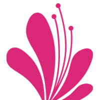 分享你的养花经验,鲜切花养护技巧