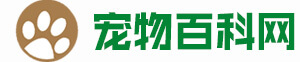 宠物大全
