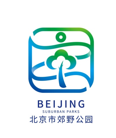 第一征集网官网