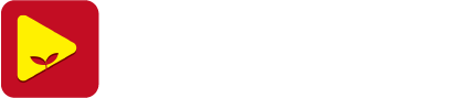 麦芽影视