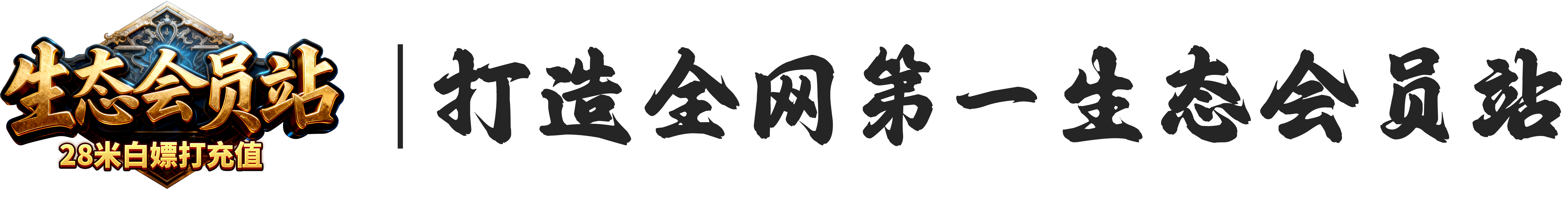 会员赠送真实充值