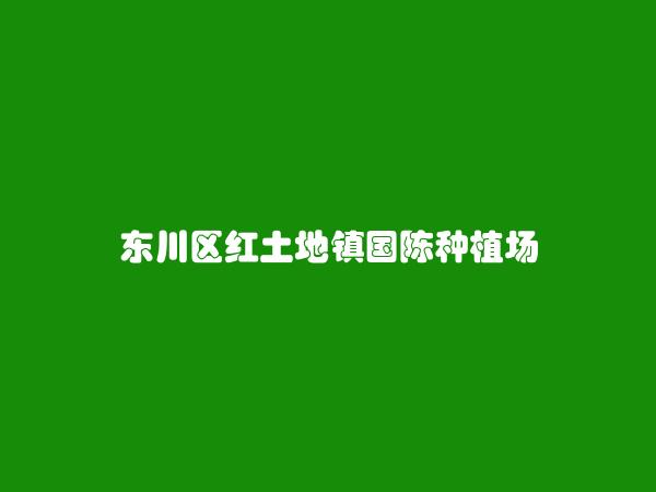 昆明同城网