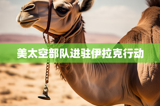 个人气候总结