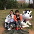 【中隆美景】官方特惠补贴！498元抢原价3668元6天5夜云南尊享游！两人同行再减200！仅限50名！