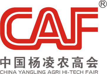 杨凌农高会官网